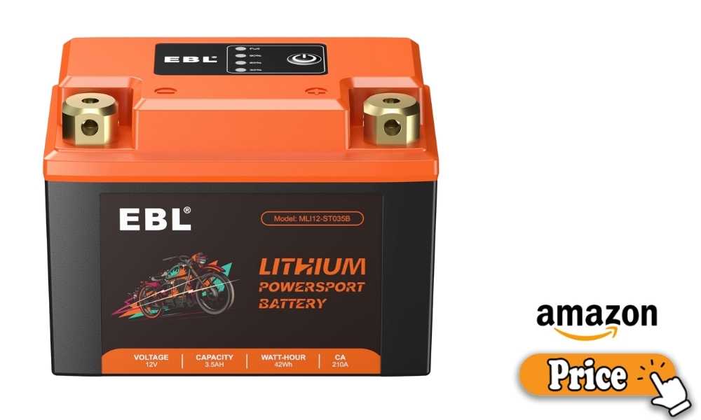 Cruisers & Touring Bikes lithium motorcycle battery