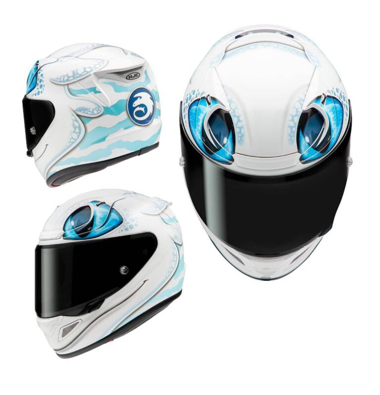 How to Train Your Dragon Motorcycle Helmet