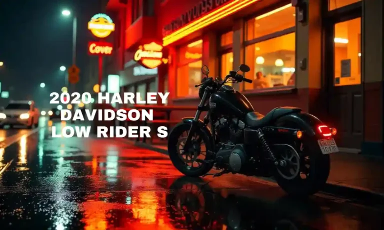 2020 Low Rider S Problems