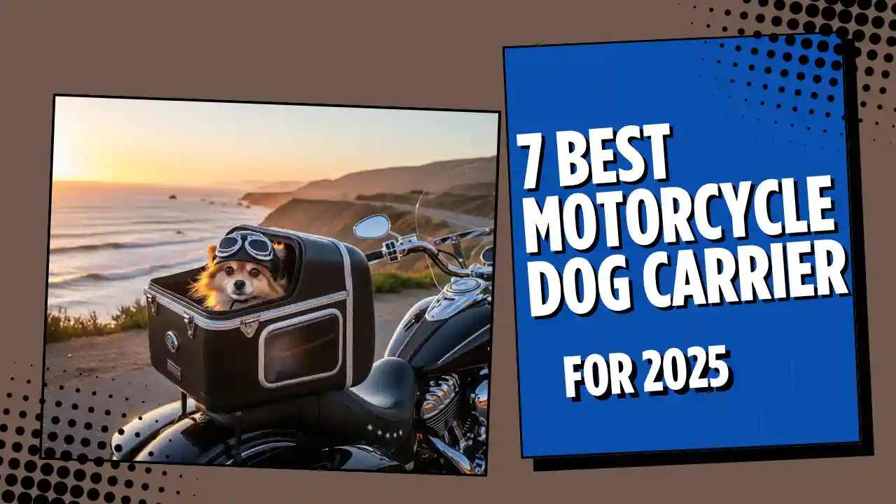 Best motorcycle dog carrier