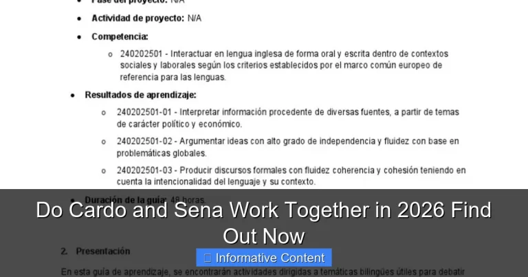 Do Cardo and Sena Work Together in 2026 Find Out Now