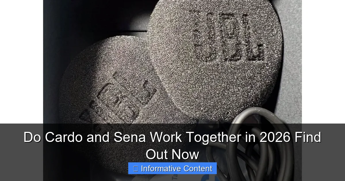 Do Cardo and Sena Work Together in 2026 Find Out Now