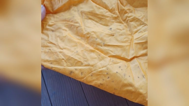 How to Clean a Tent With Mold